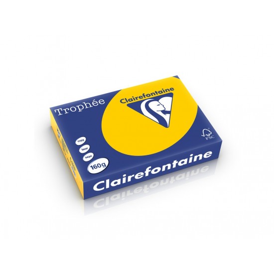 Carton color clairefontaine intens sunflower - HCO002