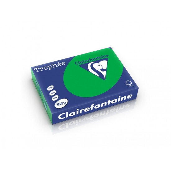 Carton color clairefontaine intens verde bill - HCO002