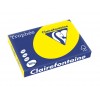 Carton color clairefontaine intens a3 galben - HCO366