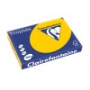 Carton color clairefontaine intens a3 sunflower - HCO366