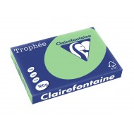 Carton color clairefontaine pastel a3 naturale green - HCO364