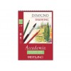 Bloc desen accademia disegno, a3, cu spira, fabriano - BLD003